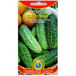 Огурец Кустовой