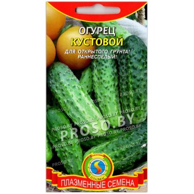 Огурец Кустовой