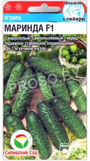 Огурец Маринда F1