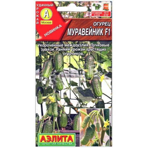 Огурец Муравейник F1