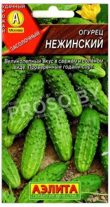 Огурец Нежинский