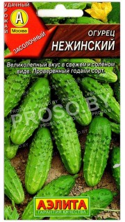 Огурец Нежинский