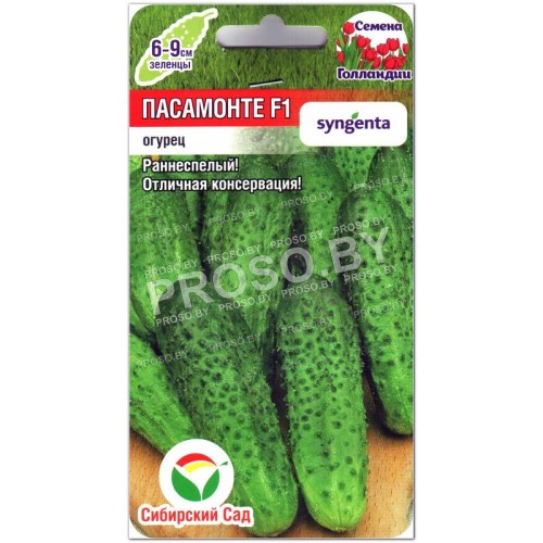 Огурец Пасамонте F1-1