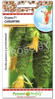 Огурец Сибиряк F1