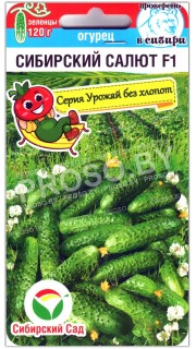 Огурец Сибирский салют F1