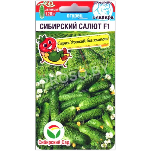 Огурец Сибирский салют F1