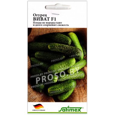 Огурец Виват F1