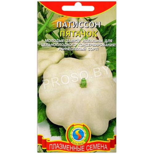 Патиссон Пятачок