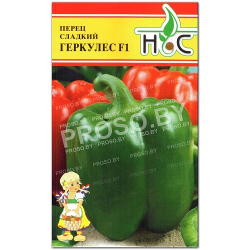 Перец Геркулес F1-1