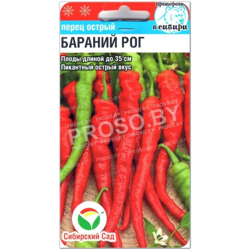 Перец острый Бараний рог-1