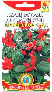 Перец острый декоративный Маленькое чудо