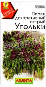 Перец острый декоративный Угольки