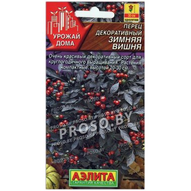 Перец острый декоративный Зимняя вишня