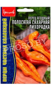 Перец острый ягодный Полосатая сахарная лихорадка