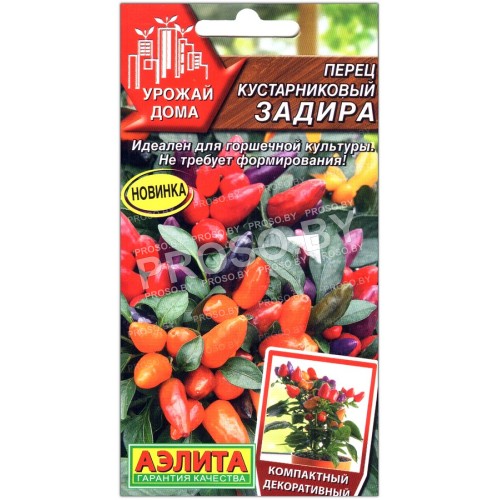 Перец острый кустарниковый Задира