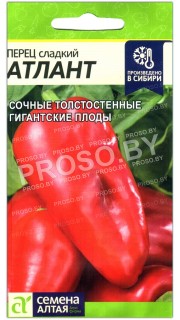 Перец сладкий Атлант