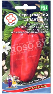 Перец сладкий Атлантик F1