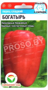 Перец сладкий Богатырь