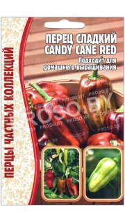 Перец сладкий Candy cane red