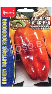 Перец сладкий Галактика