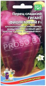 Перец сладкий Гигант фиолетовый F1