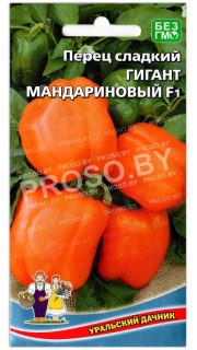 Перец сладкий Гигант мандариновый F1