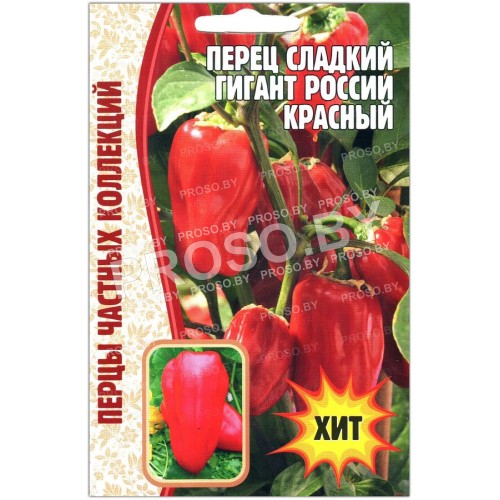 Перец сладкий Гигант России красный