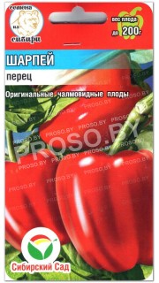 Перец сладкий Шарпей