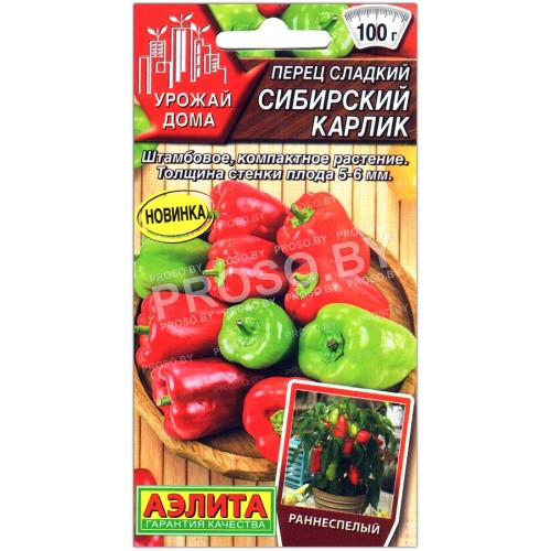 Перец сладкий Сибирский карлик