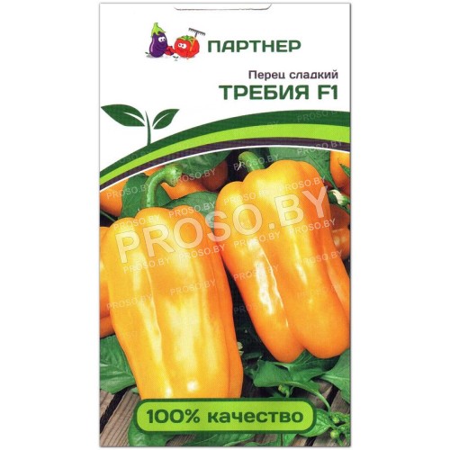 Перец сладкий Требия F1