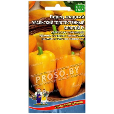 Перец сладкий Уральский толстостенный золотой F1