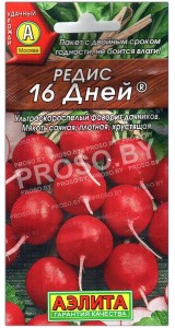 Редис 16 дней