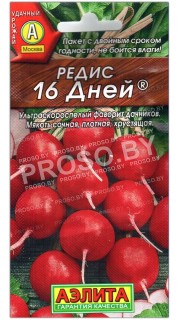 Редис 16 дней