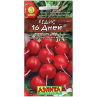 Редис 16 дней