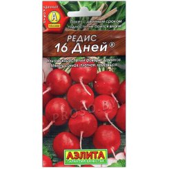Редис 16 дней Редис 16 дней