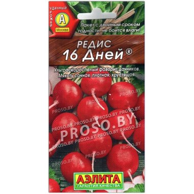 Редис 16 дней