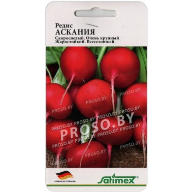 Редис Аскания