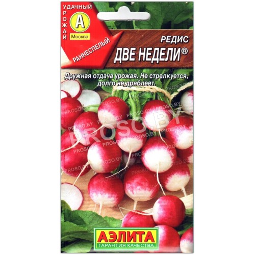 Редис Две недели