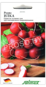 Редис Илка