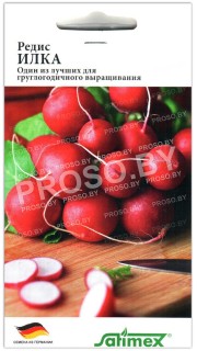 Редис Илка