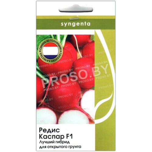 Редис Каспар F1