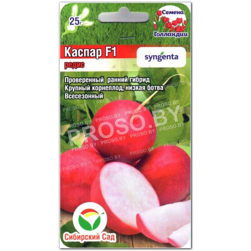 Редис Каспар F1-1