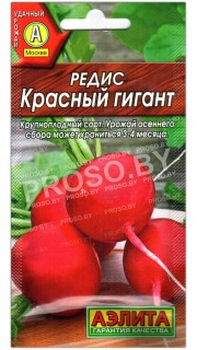 Редис Красный гигант