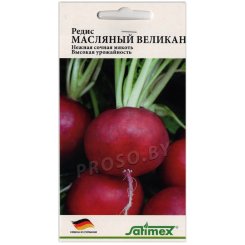 Редис Масляный великан