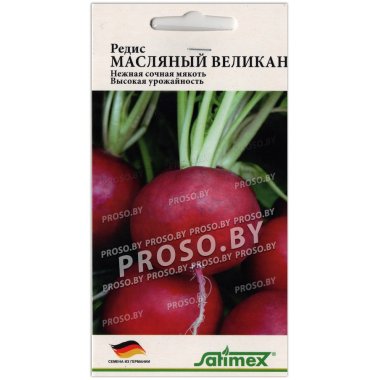 Редис Масляный великан