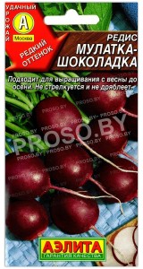 Редис Мулатка-шоколадка