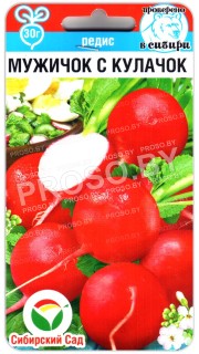 Редис Мужичок с кулачок