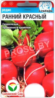 Редис Ранний красный