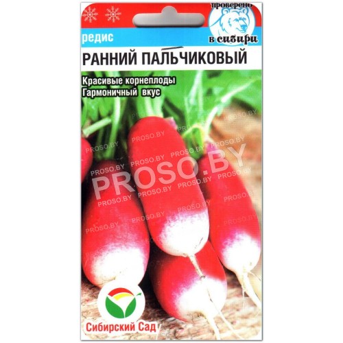 Редис Ранний пальчиковый