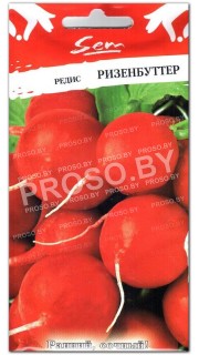 Редис Ризенбуттер
